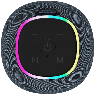 CANYON Głośnik Bluetooth BSP-8 10W Szary
