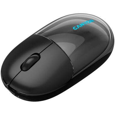 CANYON mouse 24 BT/ Wireless Transparent/Black