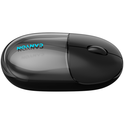 CANYON mouse 24 BT/ Wireless Transparent/Black