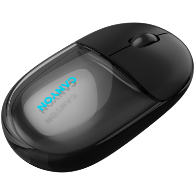 CANYON mouse 24 BT/ Wireless Transparent/Black