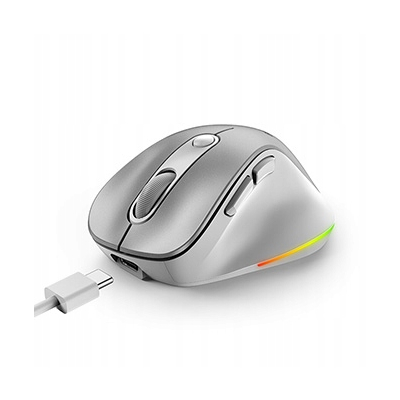 Genius Ergo 9000S Pro Mysz bezprzewodowa, srebrna, 2400DPI