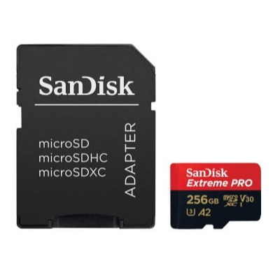 Karta pamięci SDXC SanDisk SDSQXCD-256G-GN6MA 256 GB