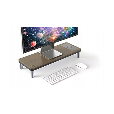 Powerton ERGO DOKY Podstawa pod monitor z stacją dokującą, szary