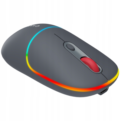 CANYON Mysz bezprzewodowa MW-22 2w1 RGB Szara