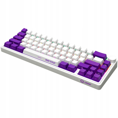 LORGAR Klawiatura Gamingowa Bezprzewodowa Pro 65% mechaniczna Biała EN