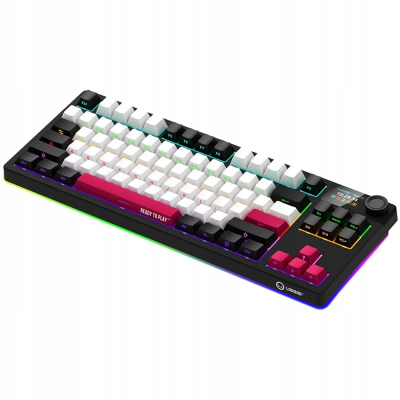 LORGAR Klawiatura Gamingowa Bezprzewodowa, Pro, TKL, mechaniczna,Czarno Cze