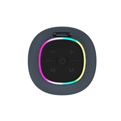 CANYON Głośnik Bluetooth BSP-8 10W Szary