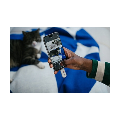 Verbatim USB flash disk, USB C, 64GB, Plectra, biały, 30228, USB C