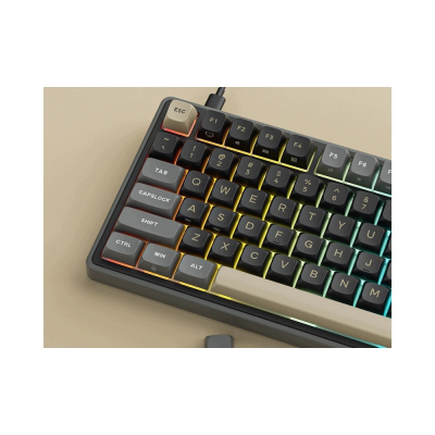 ROYAL KLUDGE RK R98Pro Phantom Gaming Keyboard Beige switch