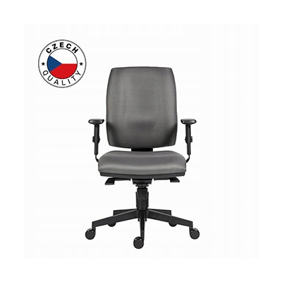 Powerton ERGO HANA Ergonomiczny fotel biurowy, Szary