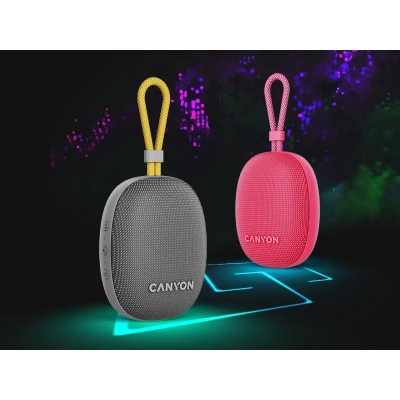 CANYON Głośnik Bluetooth OnMove 12 IPX7 TWS 5W Szary