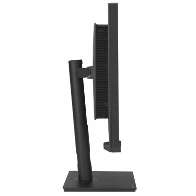 ASUS Monitor ProArt 32 cale PA32UCXR 4K mini LED
