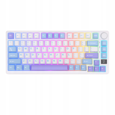 ROYAL KLUDGE RK-M75 Taro Milk Gaming Keyboard Brown switch