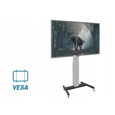 IIYAMA Monitor 27 cali TF2738MSC-B2 IPS,FHD DVI DP HDMI 2x3W poj.10p IP1X