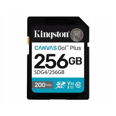 Karta pamięci SD 256GB Canvas Go Plus 200/160 MB/s C10 U3 V30