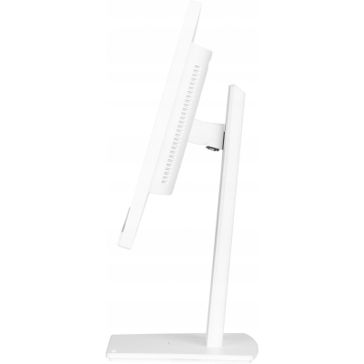 IIYAMA Monitor 24 cale XUB2497HSN-W2 IPS USB-C Dock HDMI DP Pivot biały