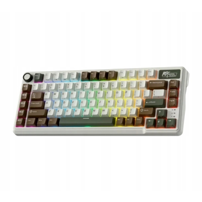 ROYAL KLUDGE RK L75 Palm Green Gaming Keyboard Beige switch