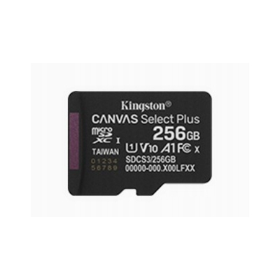 Karta pamięci microSD 256GB Canvas Select+ G3 150MB/s