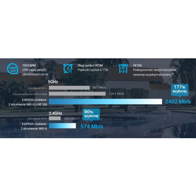 TP-Link Punkt dostępowy EAP650-Outdoor