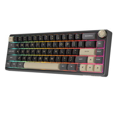 ROYAL KLUDGE R65 Phantom Gaming Keyboard Chartreuse switch