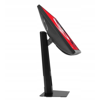 ASUS Monitor 24 cale Rog Strix XG248QSG 610Hz 2xHDMI DP