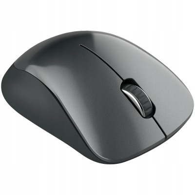 Canyon MW-11 - bezprzewodowa mysz optyczna 2.4 GHz, 3 przyciski (czarna)