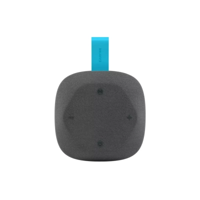 CANYON Głośnik Bluetooth HEXAGON 10 TWS 8W IPX5 Szaro - Niebieski