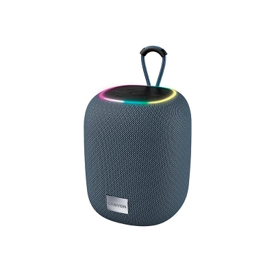 CANYON Głośnik Bluetooth BSP-8 10W Szary