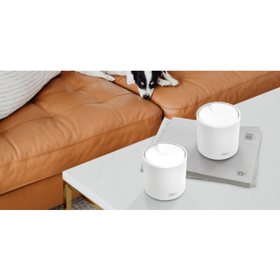 TP-LINK System WiFi AX3000 X50-Outdoor(1-pak)