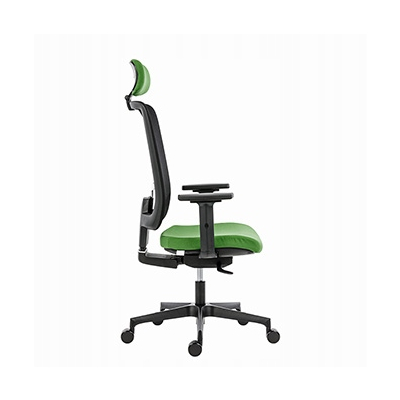 Powerton ERGO LUCIE Ergonomiczny fotel biurowy, Zielony