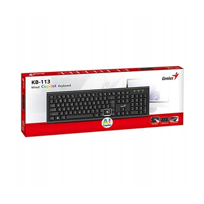 Genius KB-113 COPILOT klawiatura przewodowa (USB) CZ/SK, czarna