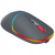 CANYON Mysz bezprzewodowa MW-22 2w1 RGB Szara