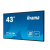 IIyama Monitor wielkoformatowy 43 cale LE4341S-B1 1920 x 1080 FHD Sklep KOZIENICE RADOM