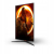 AOC Monitor 27 cali Q27G2S IPS 165 Hz HDMIx2 DP Pivot