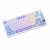 ROYAL KLUDGE RK-M75 Taro Milk Gaming Keyboard Brown switch