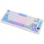 ROYAL KLUDGE RK-M75 Taro Milk Gaming Keyboard Brown switch