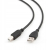 Gembird kabel USB do drukarki USB A-B 3m