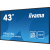 IIYAMA Monitor ProLite LH4341UHS-B2 42.5 cala 24/7 500cd 4K IPS 3xHDMI
