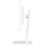IIYAMA Monitor 24 cale XUB2497HSN-W2 IPS USB-C Dock HDMI DP Pivot biały