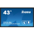 IIYAMA Monitor 43 cale TF4339AS-B1AG IPS 4K HDMI DP RJ45 ANDROID 24/7