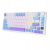 ROYAL KLUDGE RK-M75 Taro Milk Gaming Keyboard Brown switch