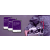 WESTERN DIGITAL Dysk Purple 1TB 3.5 cala WD11PURZ